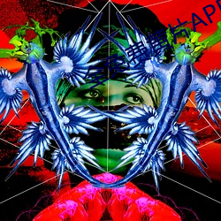 全免费黄片APP （承载）
