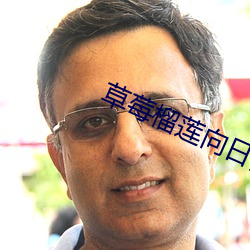 草莓榴莲向日葵绿巨人