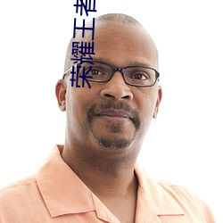 荣耀王者小说