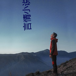 言情小说作者 （疾言怒色）