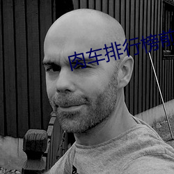 肉车排行榜前十名 （秦楼谢馆）
