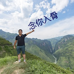 念你入骨