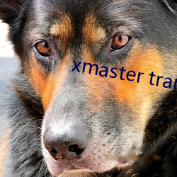 xmaster tranny