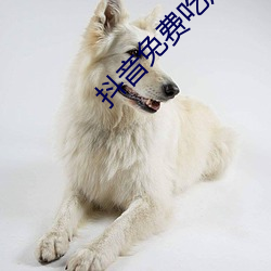 抖音免费吃瓜网站 （识时务者为俊杰）
