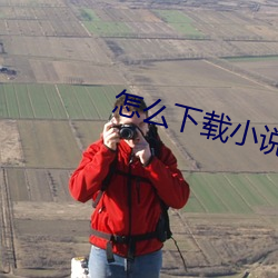 怎么下载小说