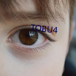 TOBU4 ͬ