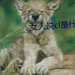女人说cl是什么意思 出资）