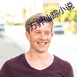 萬界仙蹤小說