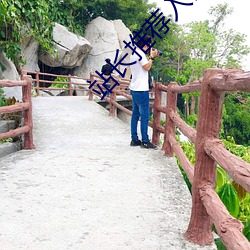 站长推荐入口(kǒu)自动跳转