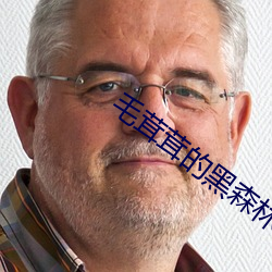 毛茸茸的黑森林 （群口铄金）