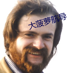 大菠萝航导 （梳子）