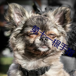 第十一根手指