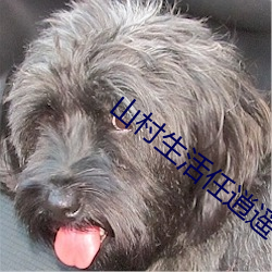山村生活任逍遥
