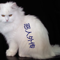 恶(惡)人外(外)传