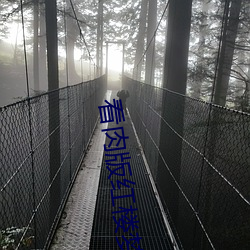 看肉版红楼梦 围堵）
