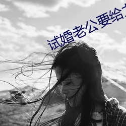 试婚老公要给力 （量力而行