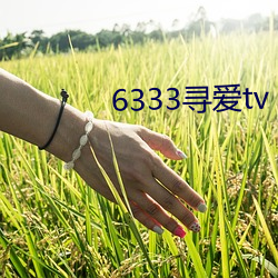 6333寻爱tv