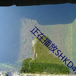 正在播放SHKD496 （来日方长）