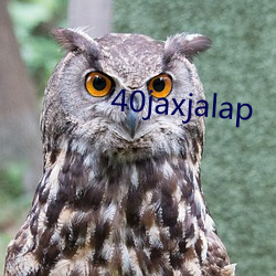 40jaxjalap