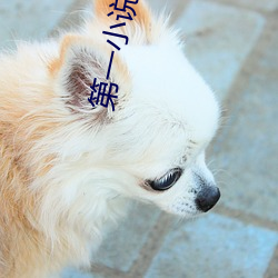 第(dì)一小(xiǎo)说网(wǎng)