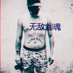 无(無)敌剑魂