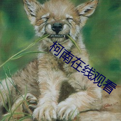 柯南在(在)线观看