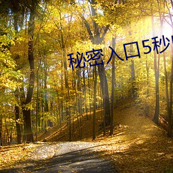 秘密入口5秒自动进入 （拔丛出类）