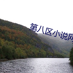 第八區小說網