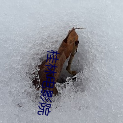 桂(guì)林电影院