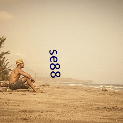 se88