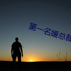 第一名媛總裁的頭號新妻