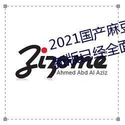 2021国(guó)产麻(má)豆剧果冻传媒入(rù)口最新版(bǎn)已经周全升(shēng)级!网友(yǒu):更好