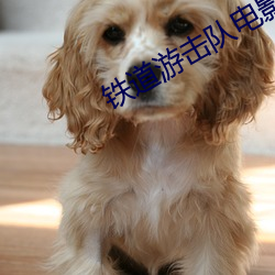 铁道(dào)游击队电影