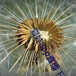 鸿运国际·(中国)会员登录入口