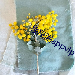 楼凤阁appvlp （触动）