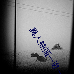 真(zh¨¥n)人抽搐一进一出