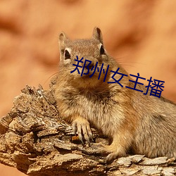 郑(鄭)州(州)女(女)主播