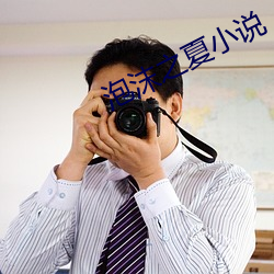 泡沫之夏小说
