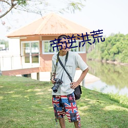 帝逆洪荒