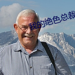 我的绝色总裁老婆 （一面之雅）