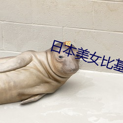 日本美女比基尼