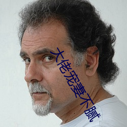大佬宠妻不腻