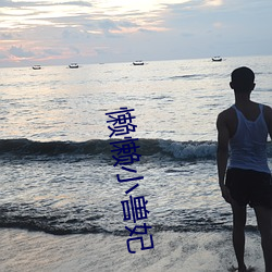 懶懶小獸妃