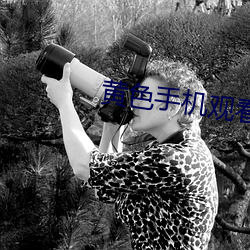 黄色手机(jī)观看