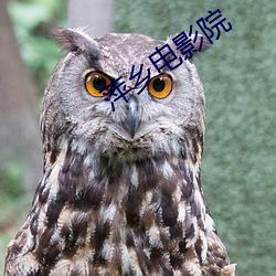 萍鄉電影院
