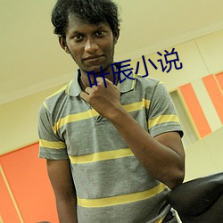 叶辰小说