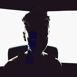 韩寒小说 （纵火）