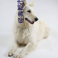 经典都市小说