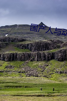 国产人与动(dòng)人物A级毛片