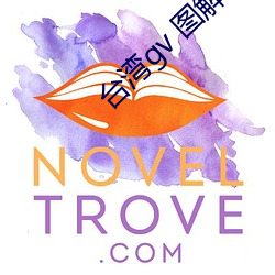 台湾gv 图解
